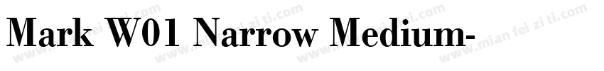 Mark W01 Narrow Medium字体转换